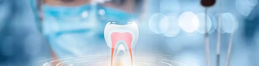 Future Smiles: A Glimpse at Dental Health in 2050
