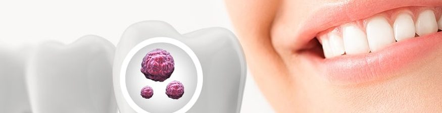 Regrowing Teeth: The Promising Future of Stem Cell Dentistry